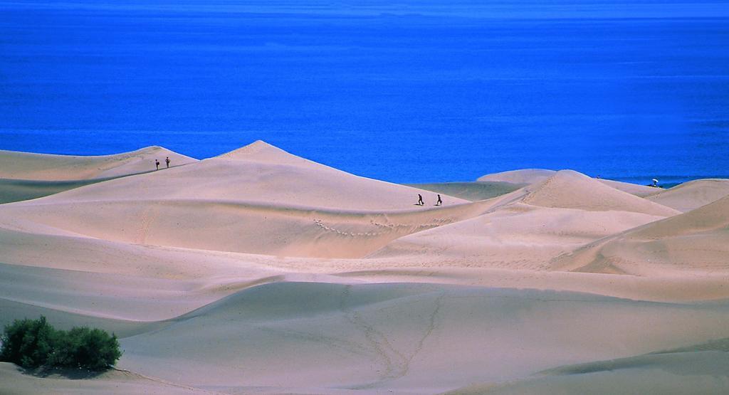 Oasis Playa Maspalomas Maspalomas  Kültér fotó